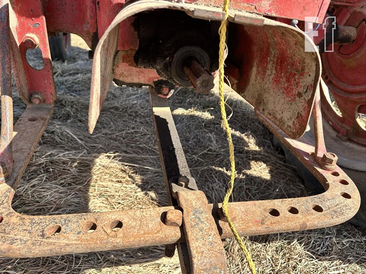 international-m-image-8