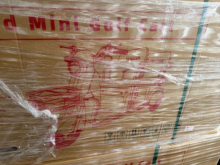 sdlanch-irgc40-electric-tricycle-image-3