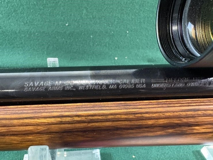 savage-mdl.m-25-204-ruger-cal-rifle-image-18