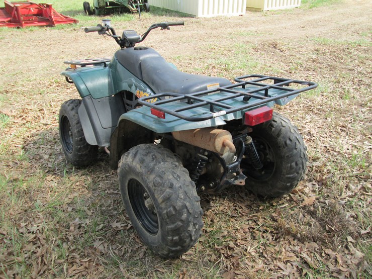 arctic-cat-300-image-4