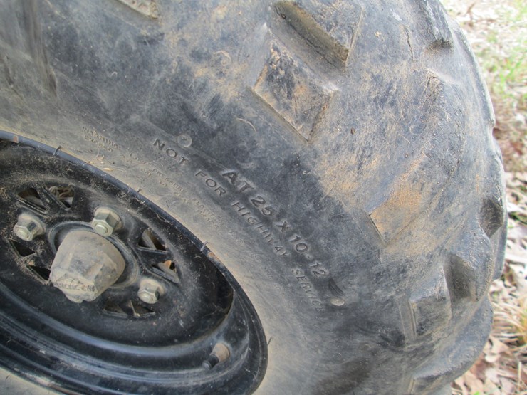 arctic-cat-300-image-6