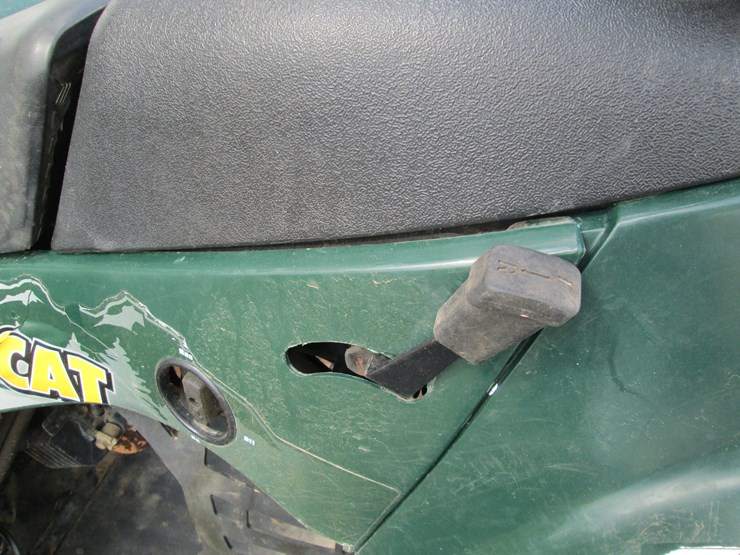 arctic-cat-300-image-11