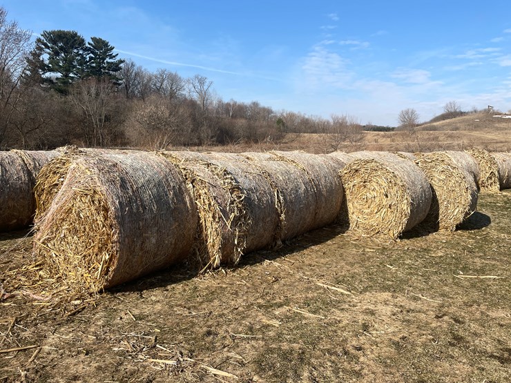 #1503-•-(8)-2025-4'-x-5'-corn-stalk-round-bales-(connersville,-wi)-image-1