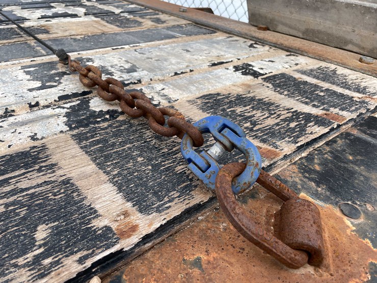 2008-freedom-great-dane-image-20