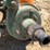 #3960-•-ace-sprayer-pump-image-5