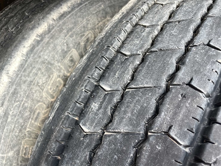 2008-freedom-great-dane-image-16