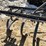 #3967-•-3-point-cultivator-image-9