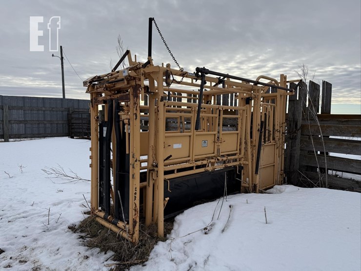 for-most-450-image-1