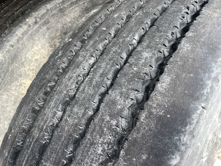 2008-freedom-great-dane-image-19