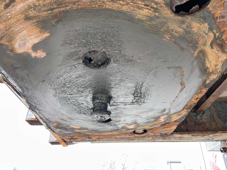 2008-freedom-great-dane-image-9