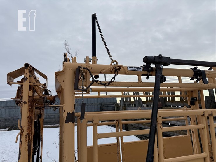 for-most-450-image-6