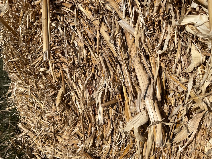 #1504-•-(8)-2025-4'-x-5'-corn-stalk-round-bales-(connersville,-wi)-image-8