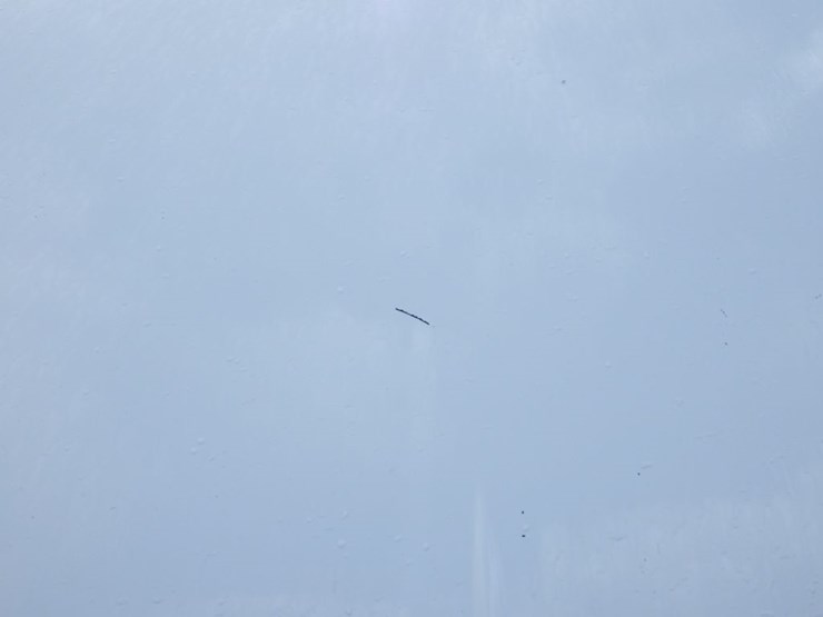 2019-international-lt-image-30