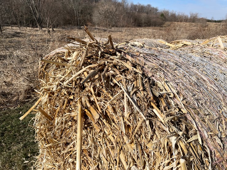 #1502-•-(8)-2025-4'-x-5'-corn-stalk-round-bales-(connersville,-wi)-image-7
