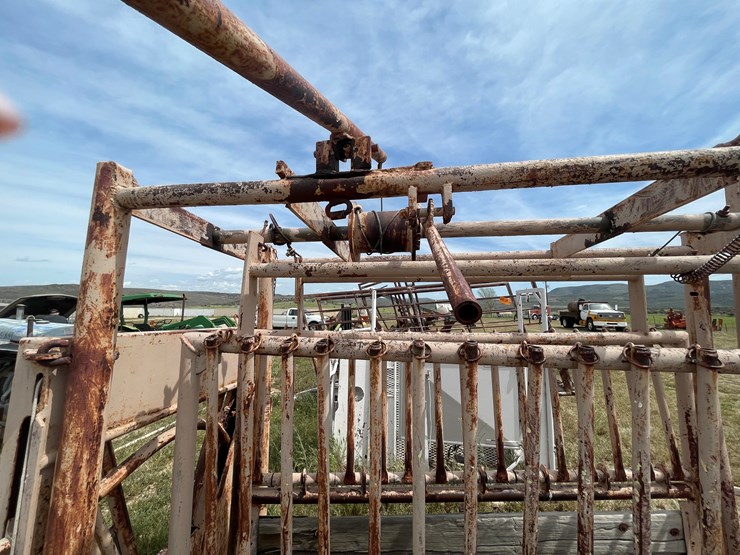 #4052-•-cattle-shoot-image-7