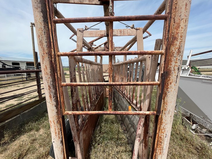 #4052-•-cattle-shoot-image-4