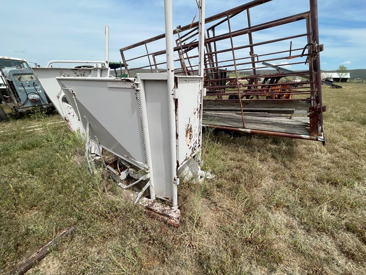 #4053-•-calf-shoot-image-2