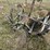 #4081-•-new-idea-sickle-mower-image-8