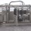 #1083-•-new-circle-t-portable-complete-cattle-processing-system-image-64