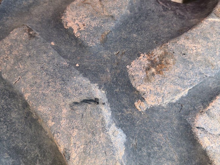 massey-ferguson-4610-image-6