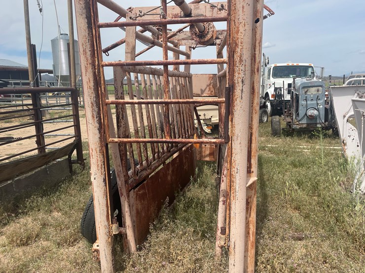 #4052-•-cattle-shoot-image-3