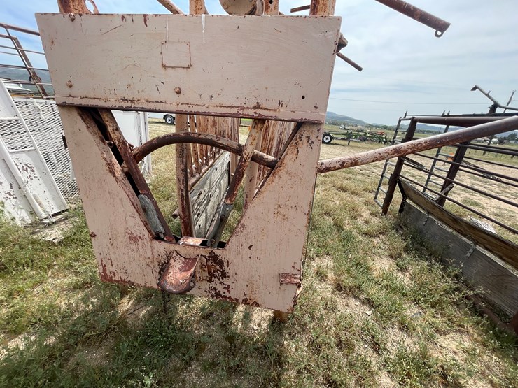 #4052-•-cattle-shoot-image-9