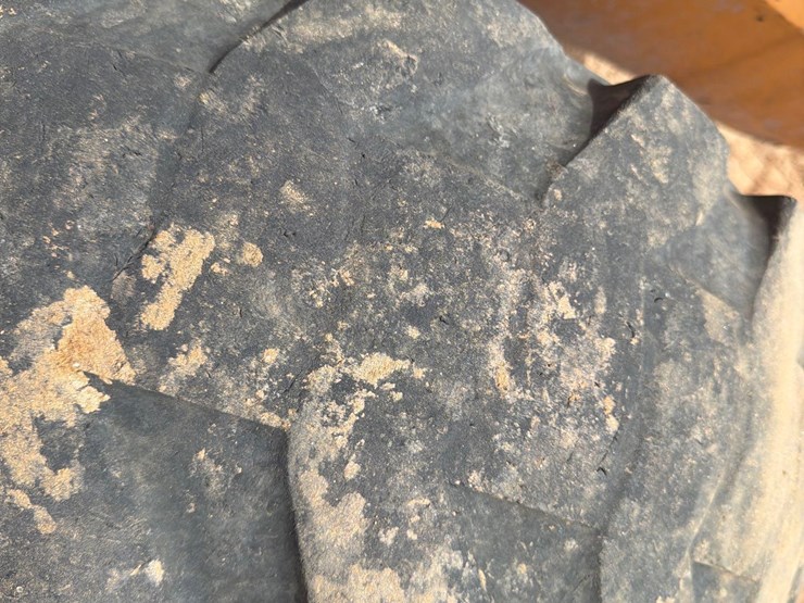 2019-case-586h-image-11