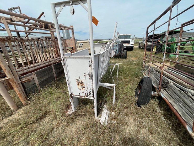 #4053-•-calf-shoot-image-1