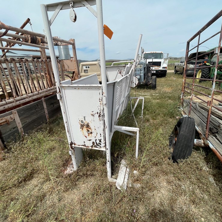 #4053 • Calf Shoot