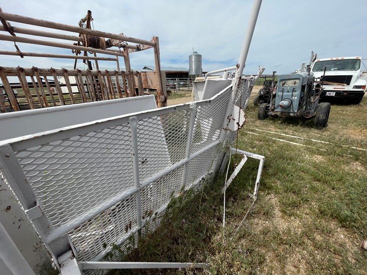 #4053-•-calf-shoot-image-6