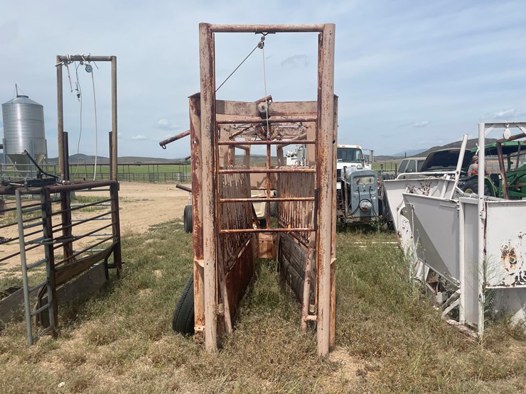 #4052-•-cattle-shoot-image-1