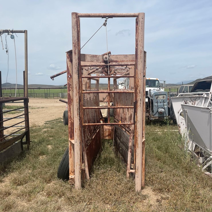 #4052 • Cattle Shoot