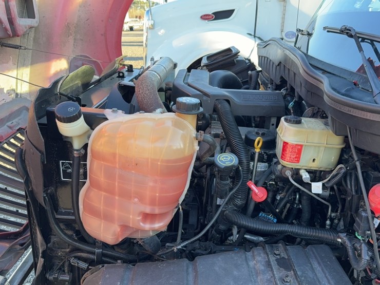 2013-international-terrastar-image-21