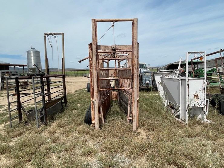 #4052-•-cattle-shoot-image-2