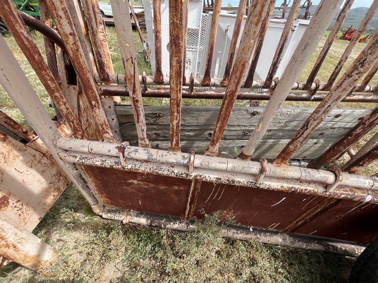 #4052-•-cattle-shoot-image-10