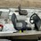 2003-alumacraft-crappie-pro-w/mariner-magnum-40-motor-image-11
