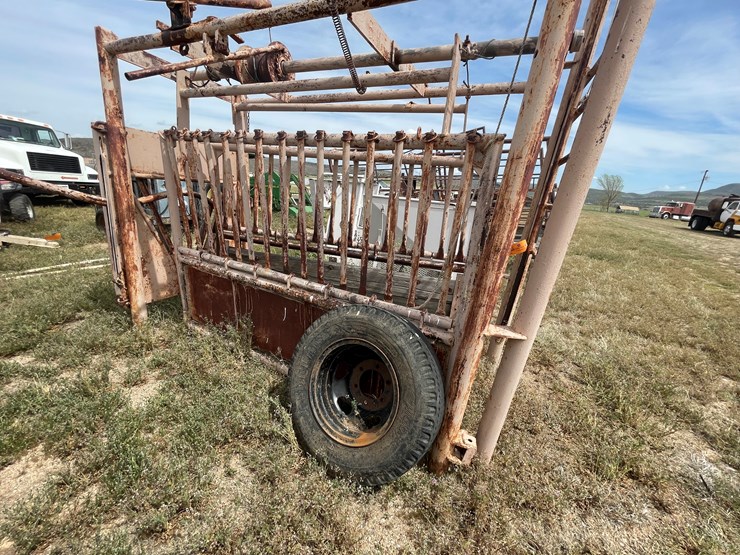 #4052-•-cattle-shoot-image-6