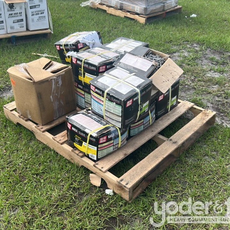 12 Boxes of Nails 6/Box