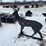 #2036-•-3/8"-ar500-steel-deer-shooting-target-image-2