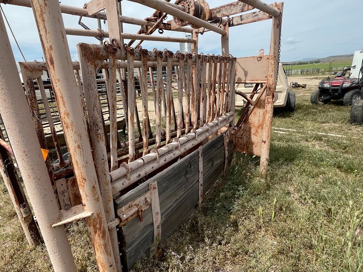 #4052-•-cattle-shoot-image-5