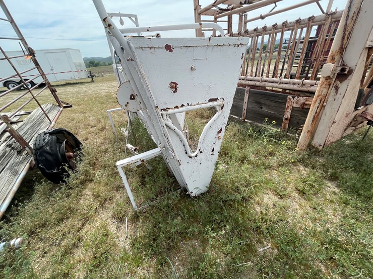 #4053-•-calf-shoot-image-7