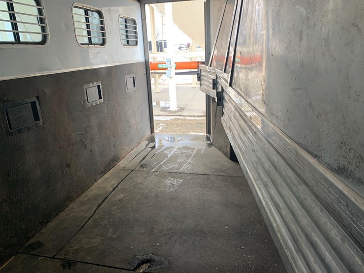 2003-exiss-sport-horse-trailer-image-14