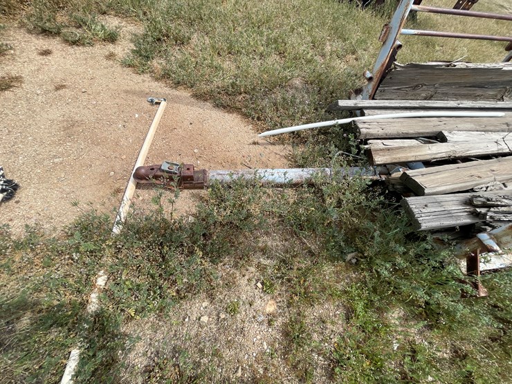 #4054-•-momil-cattle-shoot-image-8