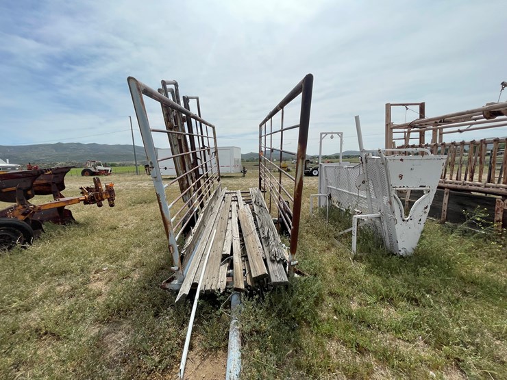 #4054-•-momil-cattle-shoot-image-6