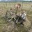 #4081-•-new-idea-sickle-mower-image-1
