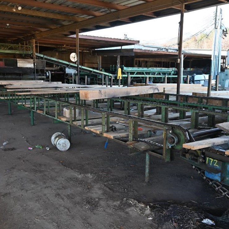 #171 • 4 Strand Green Chain