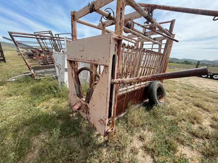 #4052-•-cattle-shoot-image-8