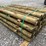 bundle-of-(36)-4”x7’-treated-fence-post-image-3