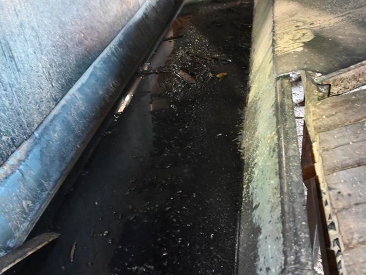 #181-•-webster-vibrating-conveyor-image-3