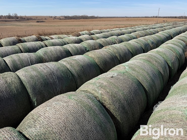 2024-oat-hay-image-11